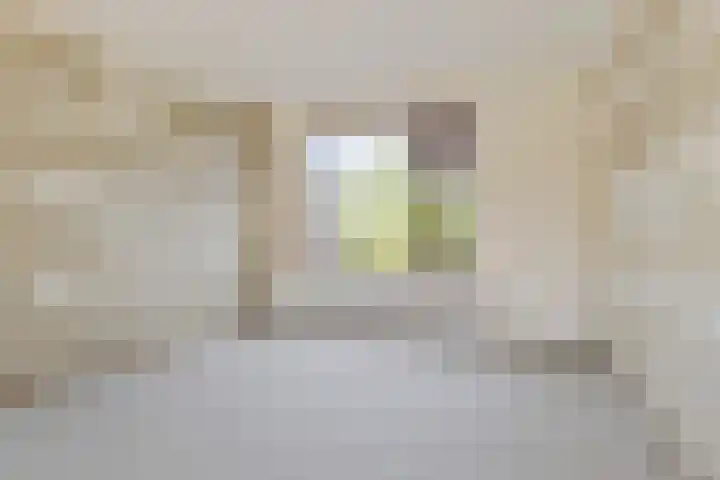 de Cloese 33 Roden thumbnail 11