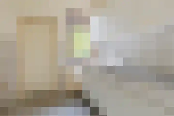 de Cloese 33 Roden thumbnail 12