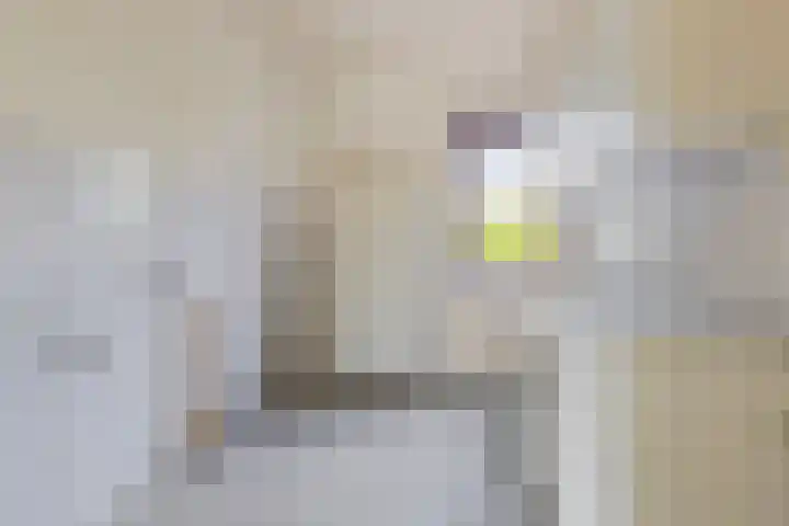 de Cloese 33 Roden thumbnail 13