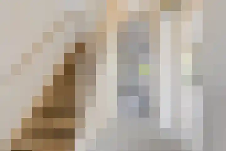de Cloese 33 Roden thumbnail 15