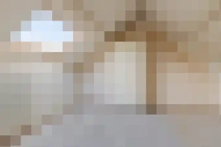 de Cloese 33 Roden thumbnail 26