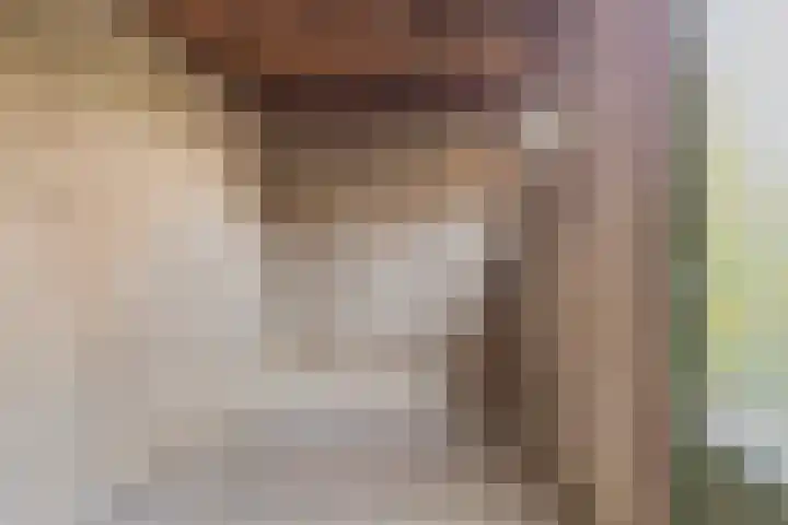 de Cloese 33 Roden thumbnail 28