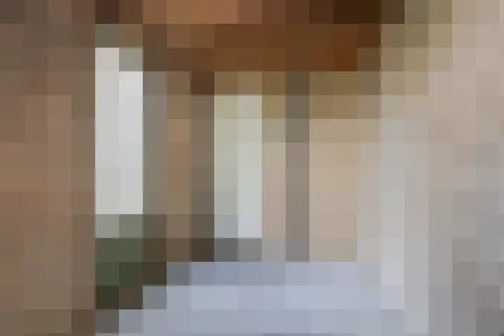 de Cloese 33 Roden thumbnail 29