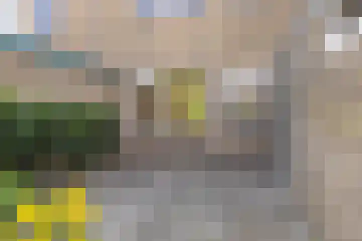 de Cloese 33 Roden thumbnail 31