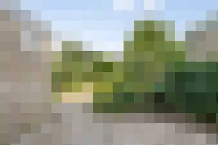 de Cloese 33 Roden thumbnail 32