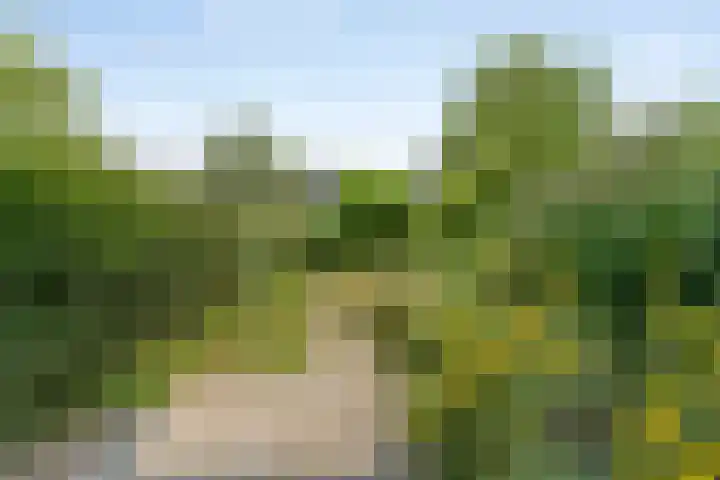 de Cloese 33 Roden thumbnail 33