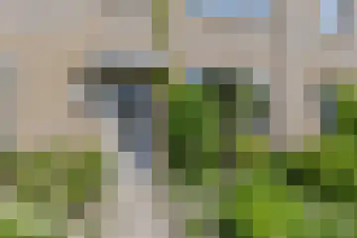 de Cloese 33 Roden thumbnail 35