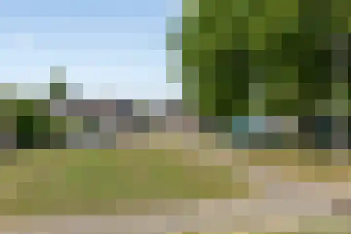 de Cloese 33 Roden thumbnail 37