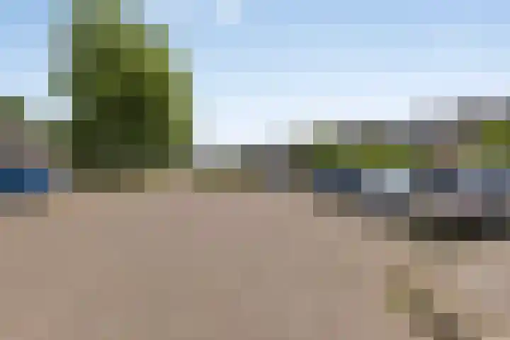 de Cloese 33 Roden thumbnail 38