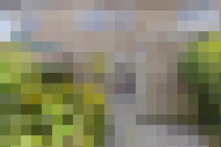 de Cloese 33 Roden thumbnail 4