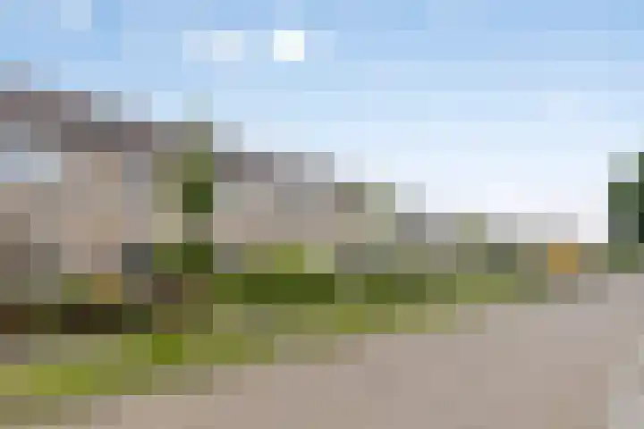 de Cloese 33 Roden thumbnail 7