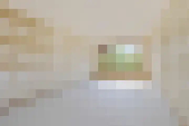 de Cloese 33 Roden thumbnail 8