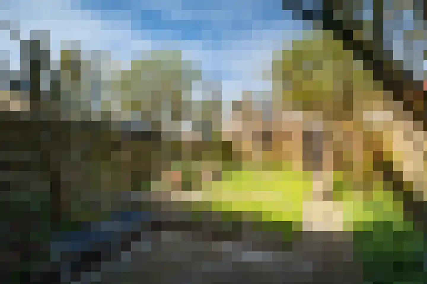 De Cloese 94 Ugchelen thumbnail 15