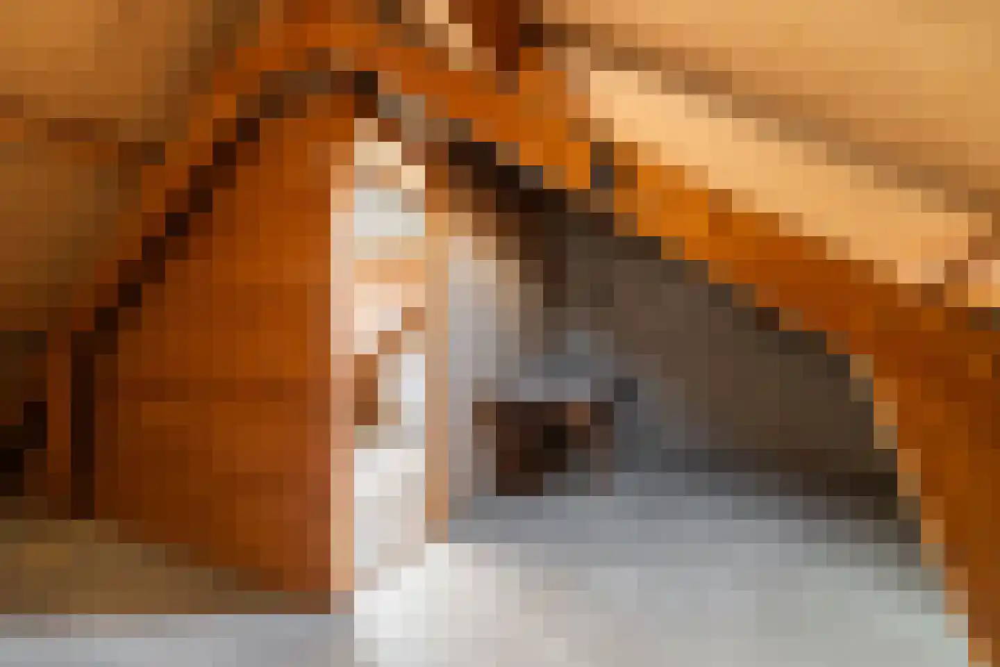 De Cloese 94 Ugchelen thumbnail 26