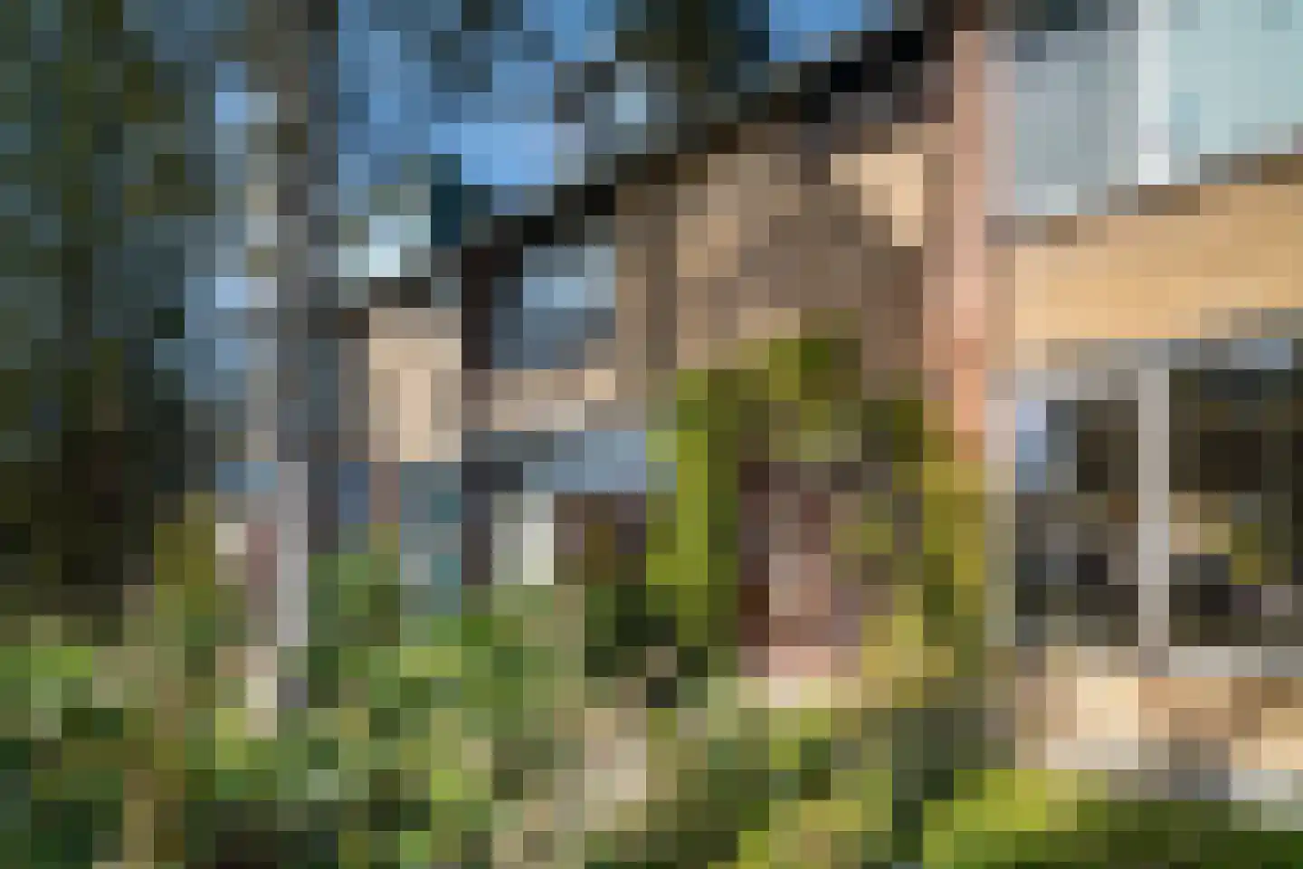 De Cloese 94 Ugchelen thumbnail 4