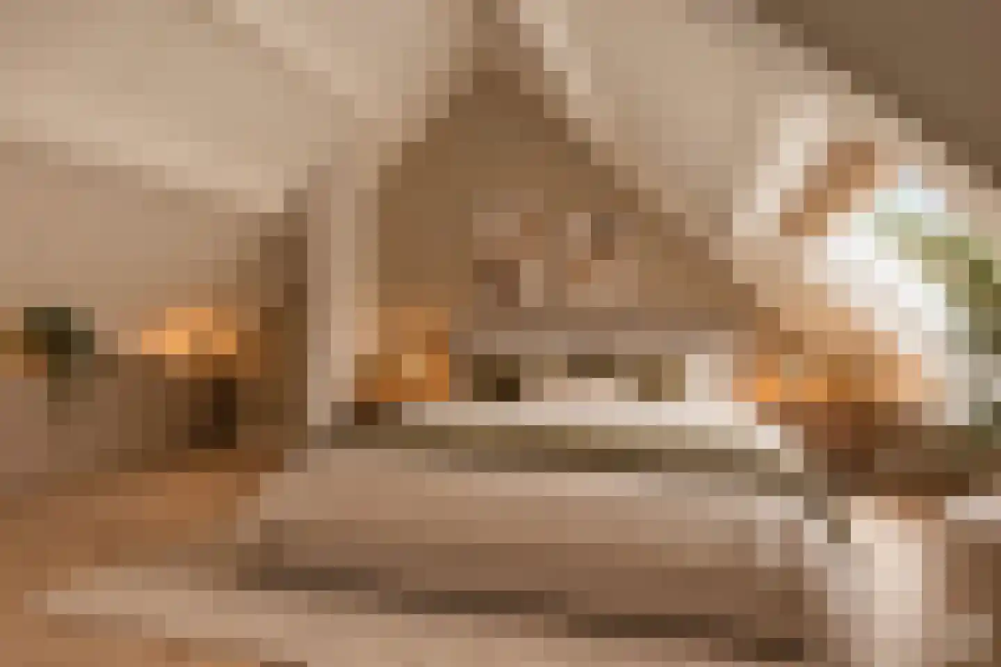De Clossei 37 Westervoort thumbnail 5