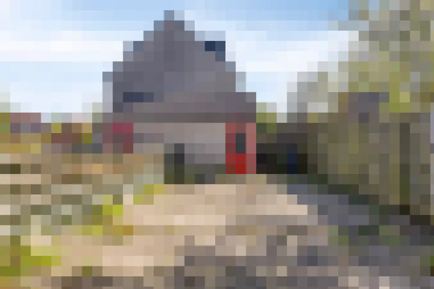 De Clossei 45 Westervoort thumbnail 28