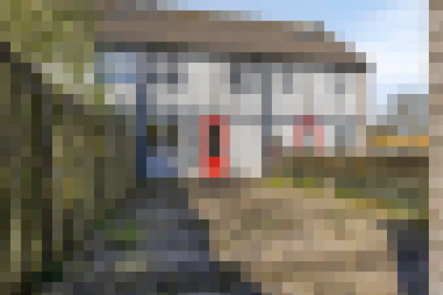 De Clossei 45 Westervoort thumbnail 30