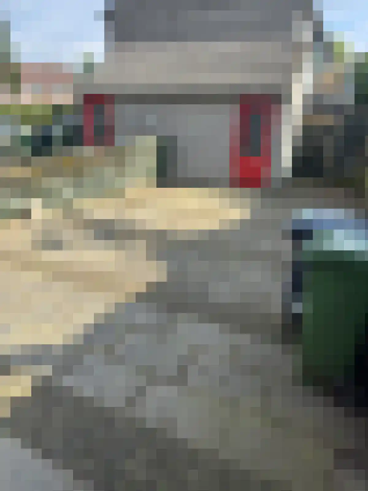 De Clossei 45 Westervoort thumbnail 31