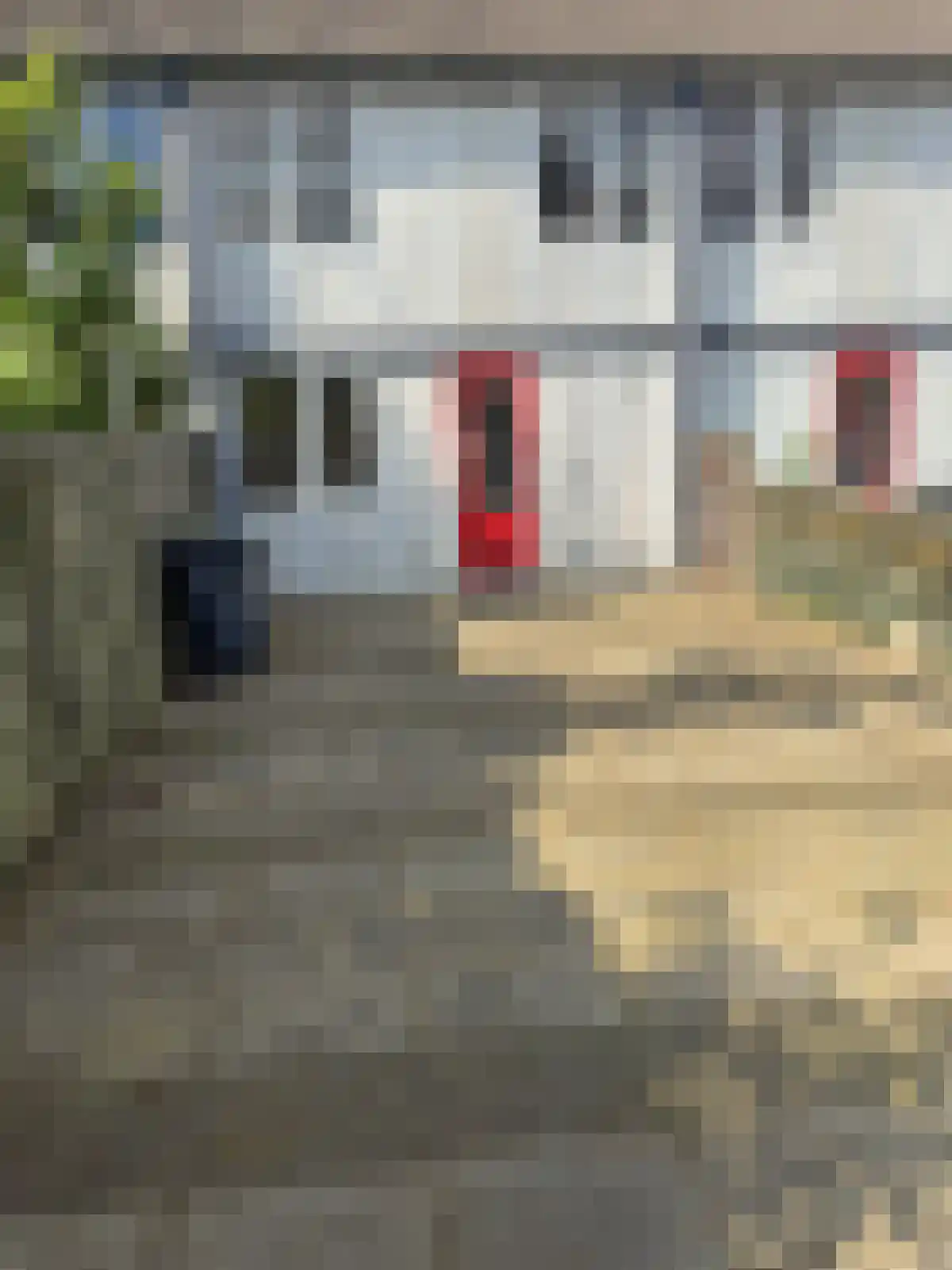 De Clossei 45 Westervoort thumbnail 32