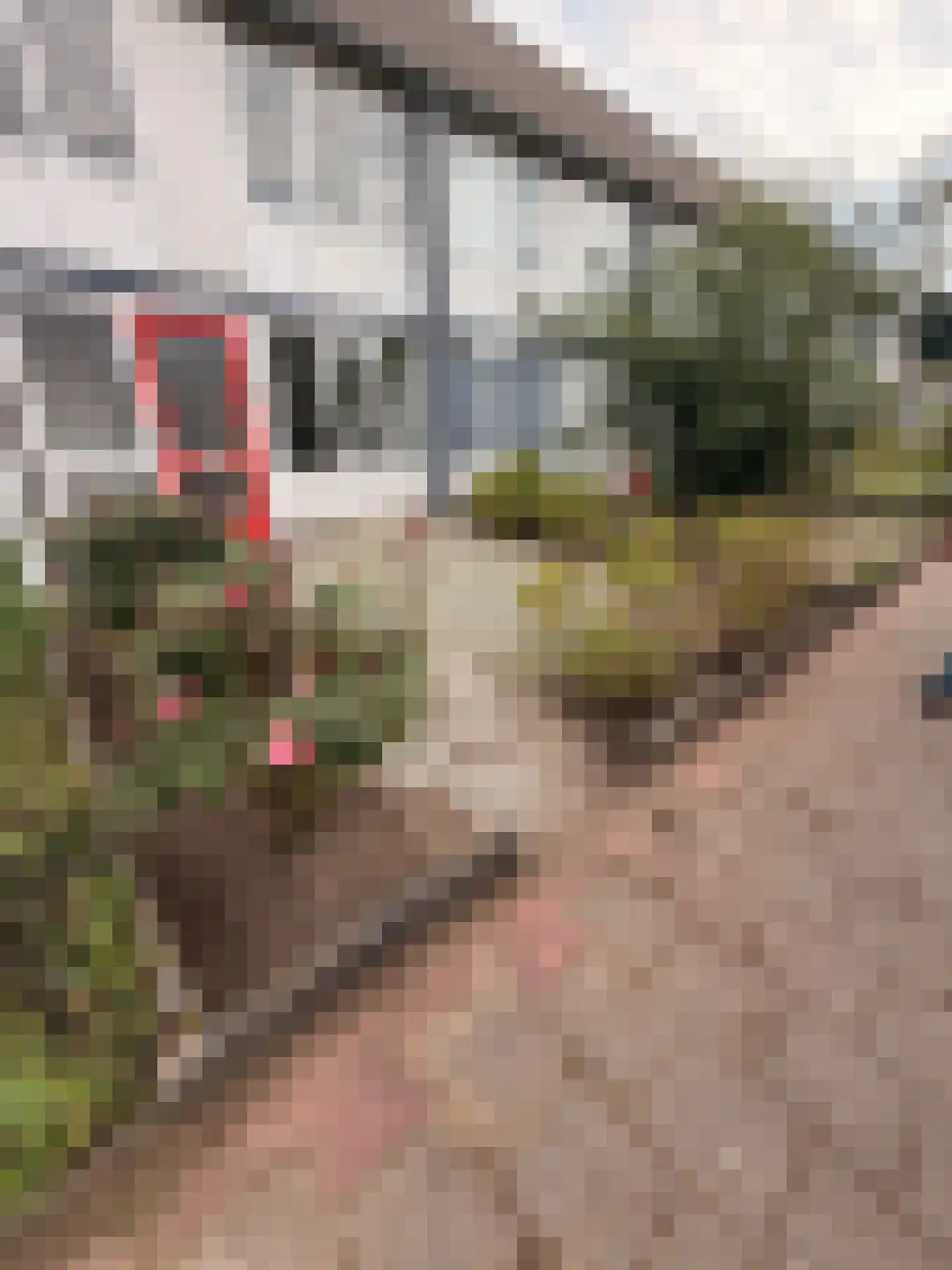 De Clossei 45 Westervoort thumbnail 33