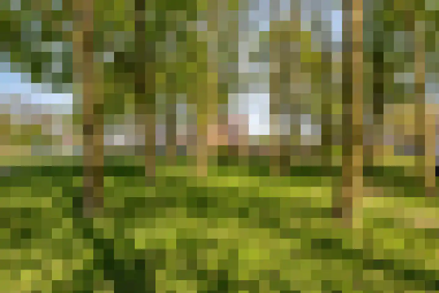 De Clossei 45 Westervoort thumbnail 35