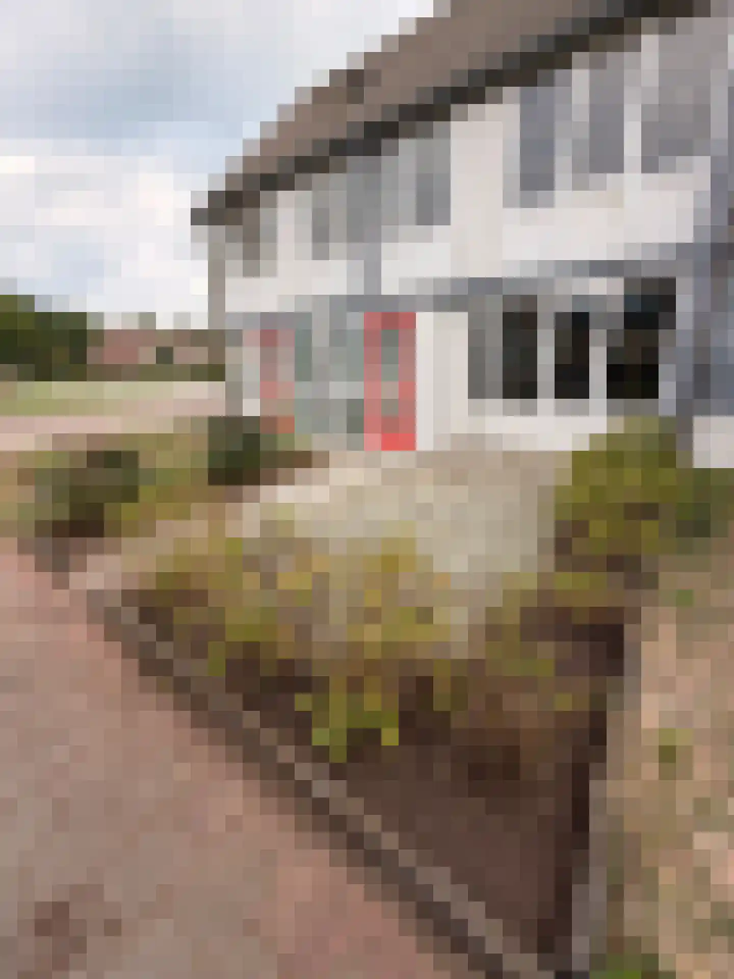 De Clossei 45 Westervoort thumbnail 7