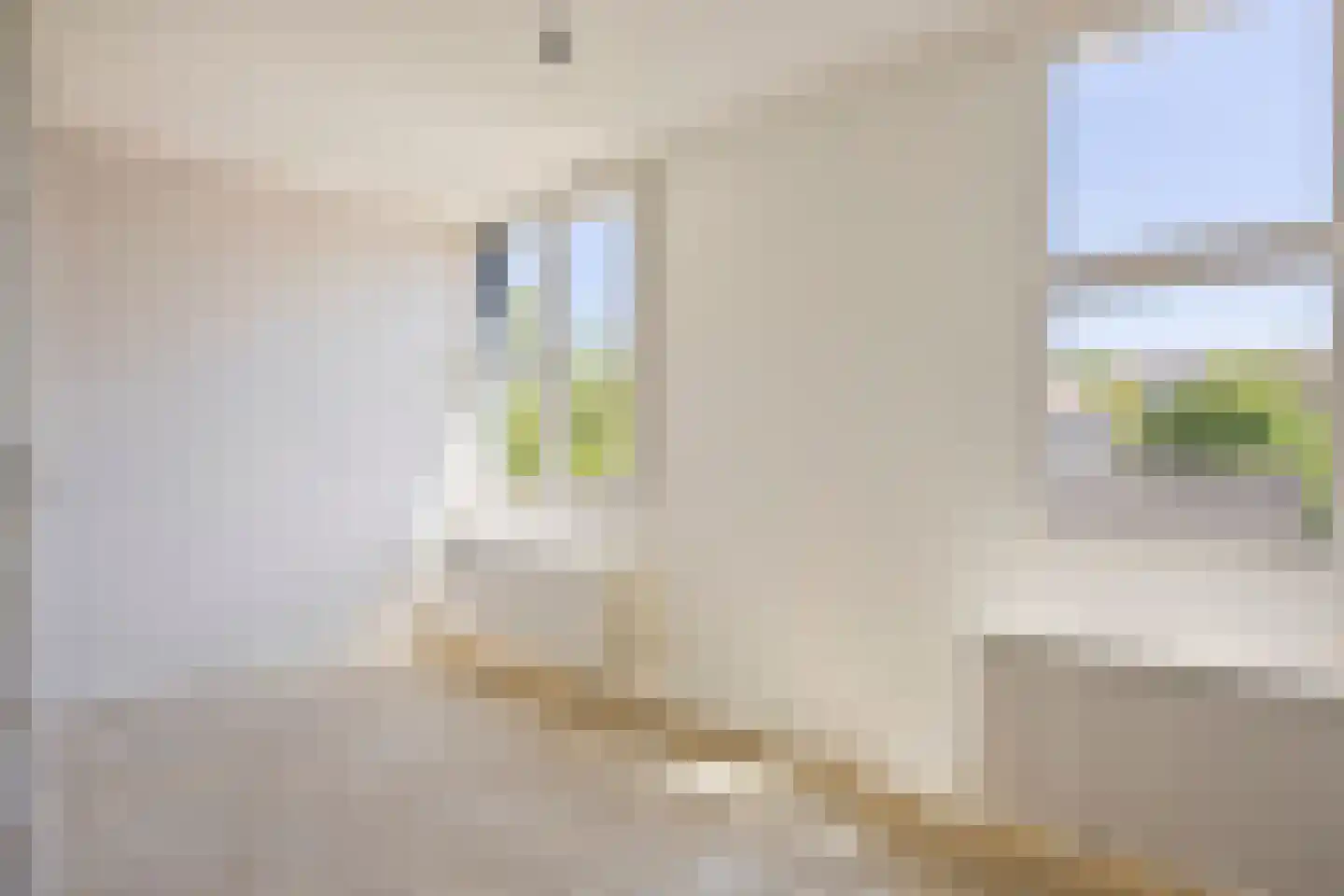 De Clossei 49 Westervoort thumbnail 16