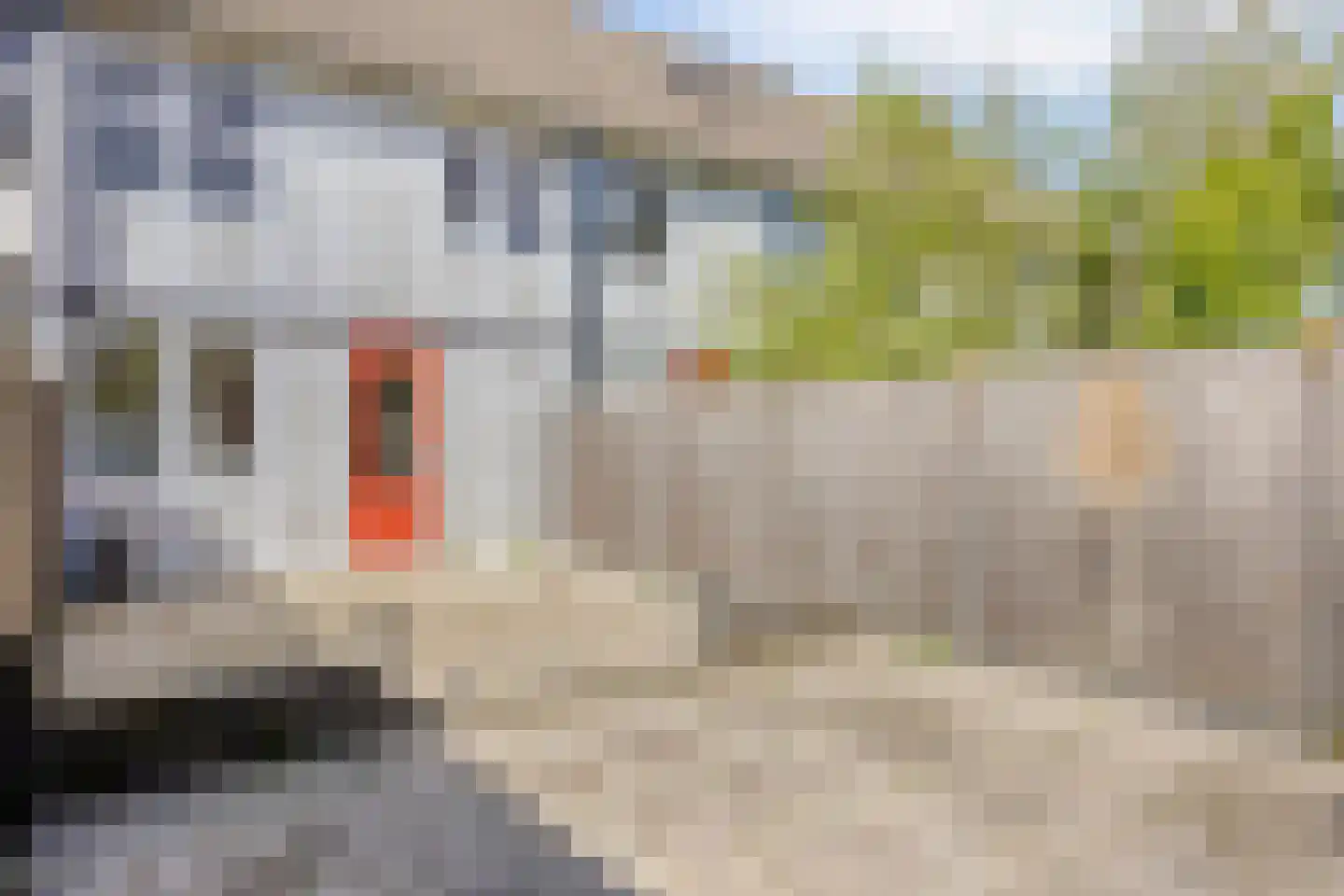 De Clossei 49 Westervoort thumbnail 27