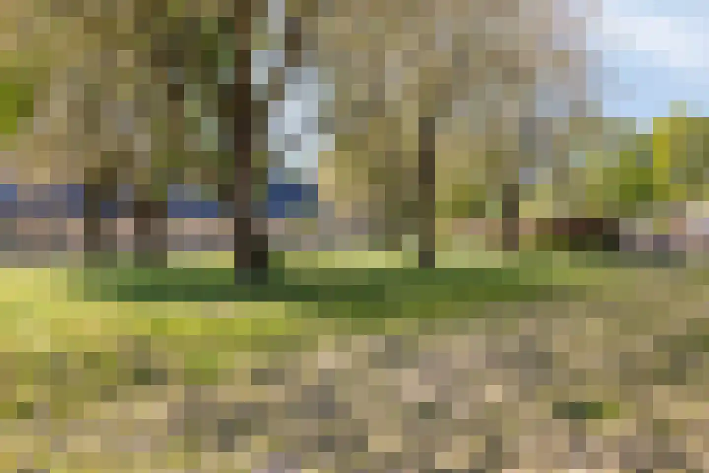 De Clossei 49 Westervoort thumbnail 30