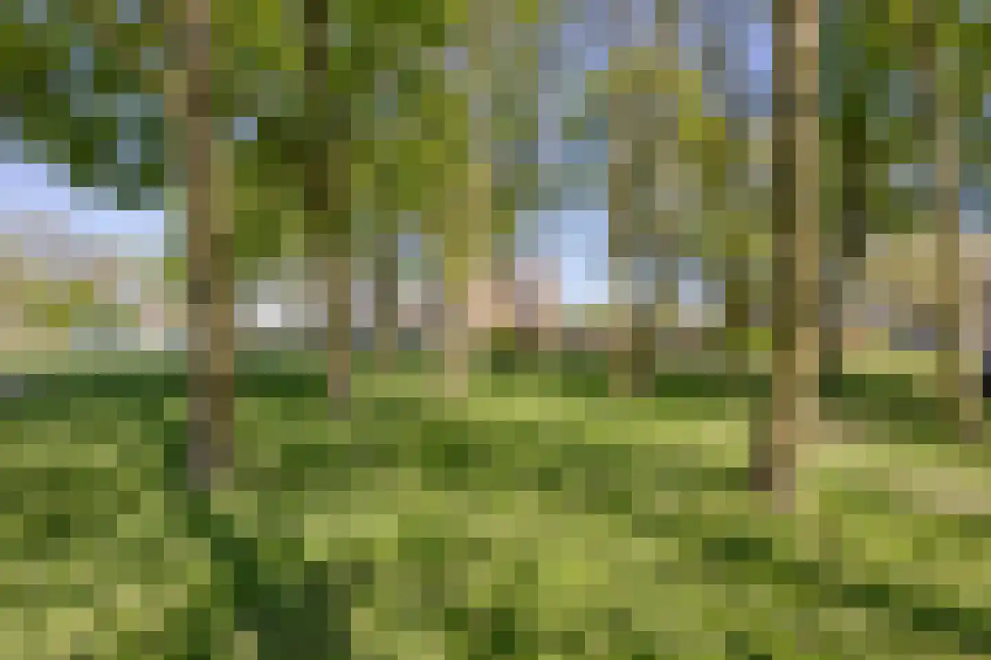 De Clossei 49 Westervoort thumbnail 32