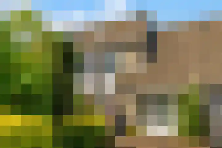 De Cnollenbijter 12 in Uitgeest