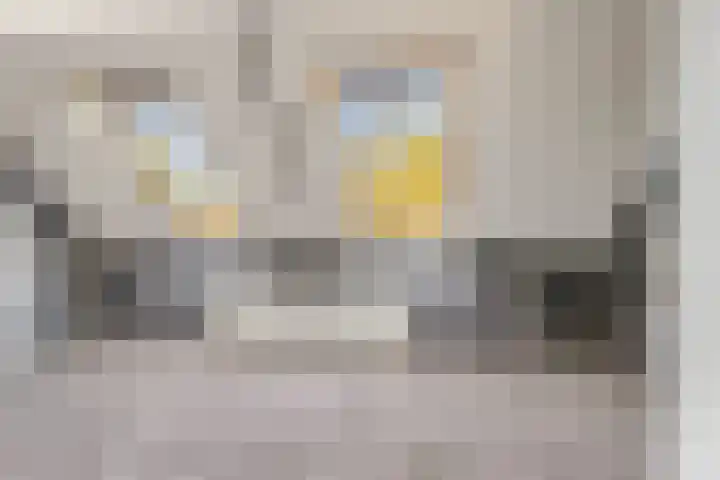 De Cnollenbijter 12 Uitgeest thumbnail 15