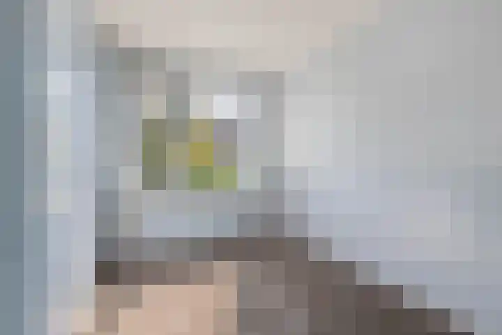 De Cnollenbijter 12 Uitgeest thumbnail 21
