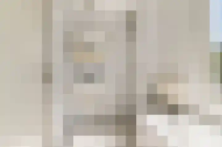 De Cnollenbijter 12 Uitgeest thumbnail 25