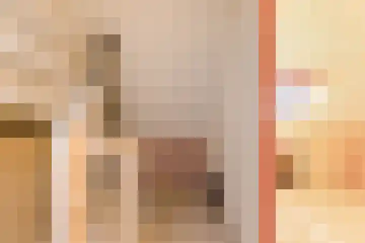 De Cnollenbijter 12 Uitgeest thumbnail 27