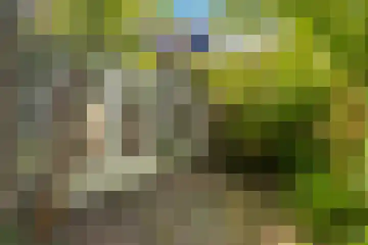 De Cnollenbijter 12 Uitgeest thumbnail 32