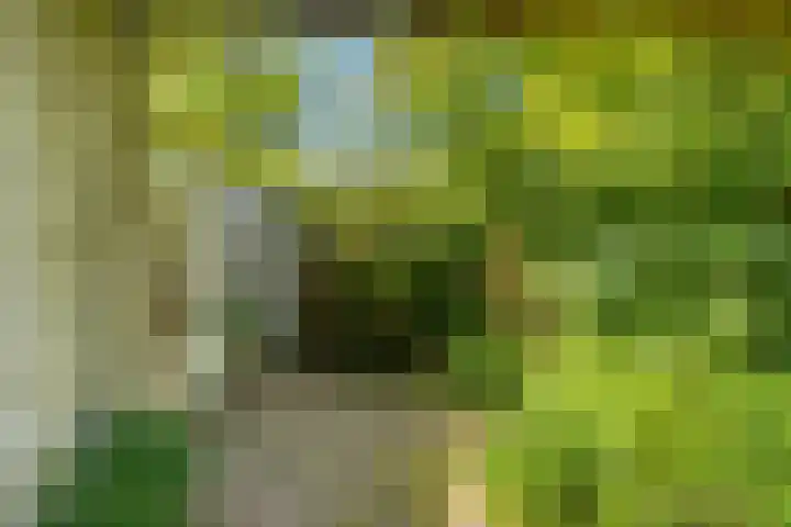 De Cnollenbijter 12 Uitgeest thumbnail 33