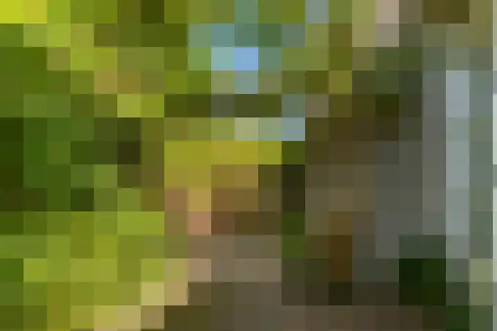 De Cnollenbijter 12 Uitgeest thumbnail 34