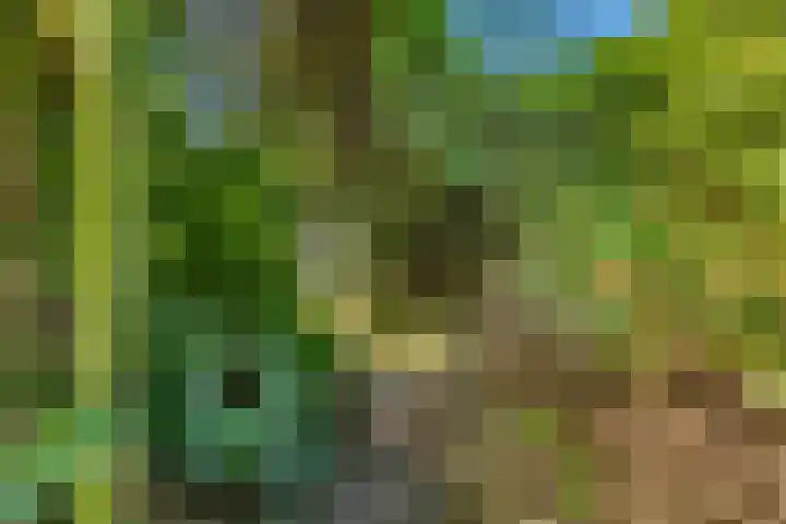 De Cnollenbijter 12 Uitgeest thumbnail 35