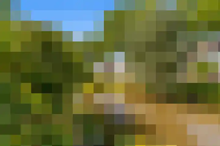 De Cnollenbijter 12 Uitgeest thumbnail 36