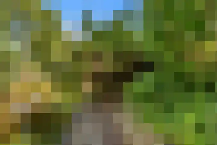 De Cnollenbijter 12 Uitgeest thumbnail 37