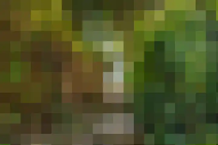 De Cnollenbijter 12 Uitgeest thumbnail 38