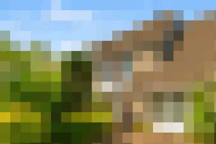 De Cnollenbijter 12 Uitgeest thumbnail 39