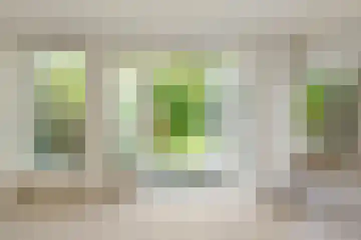 De Cnollenbijter 12 Uitgeest thumbnail 4