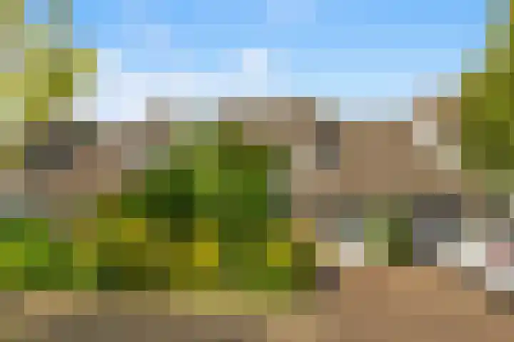 De Cnollenbijter 12 Uitgeest thumbnail 40