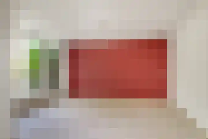 De Cnollenbijter 12 Uitgeest thumbnail 6