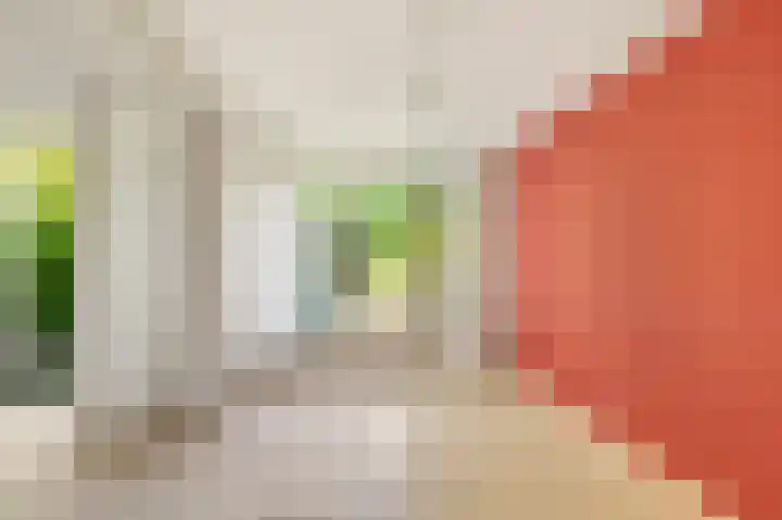 De Cnollenbijter 12 Uitgeest thumbnail 8