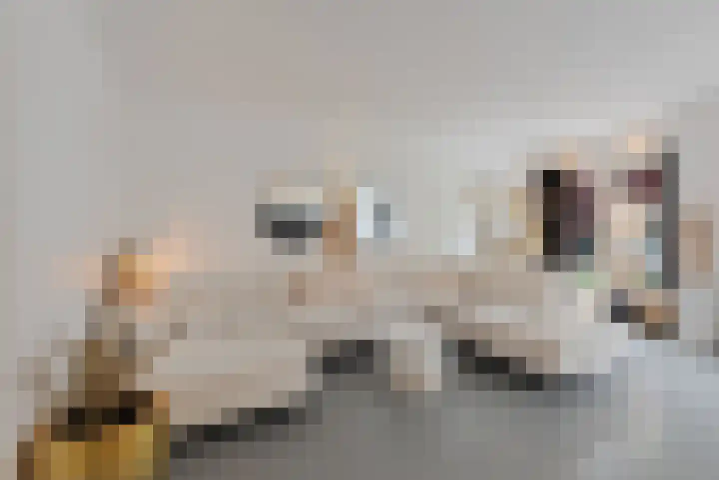 de Cock van Neerijnenstraat 21 Schijndel thumbnail 11