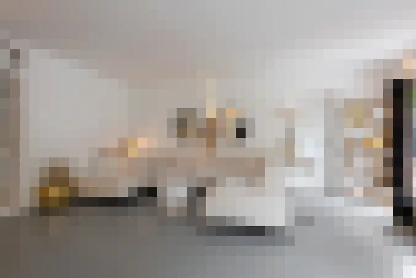 de Cock van Neerijnenstraat 21 Schijndel thumbnail 12